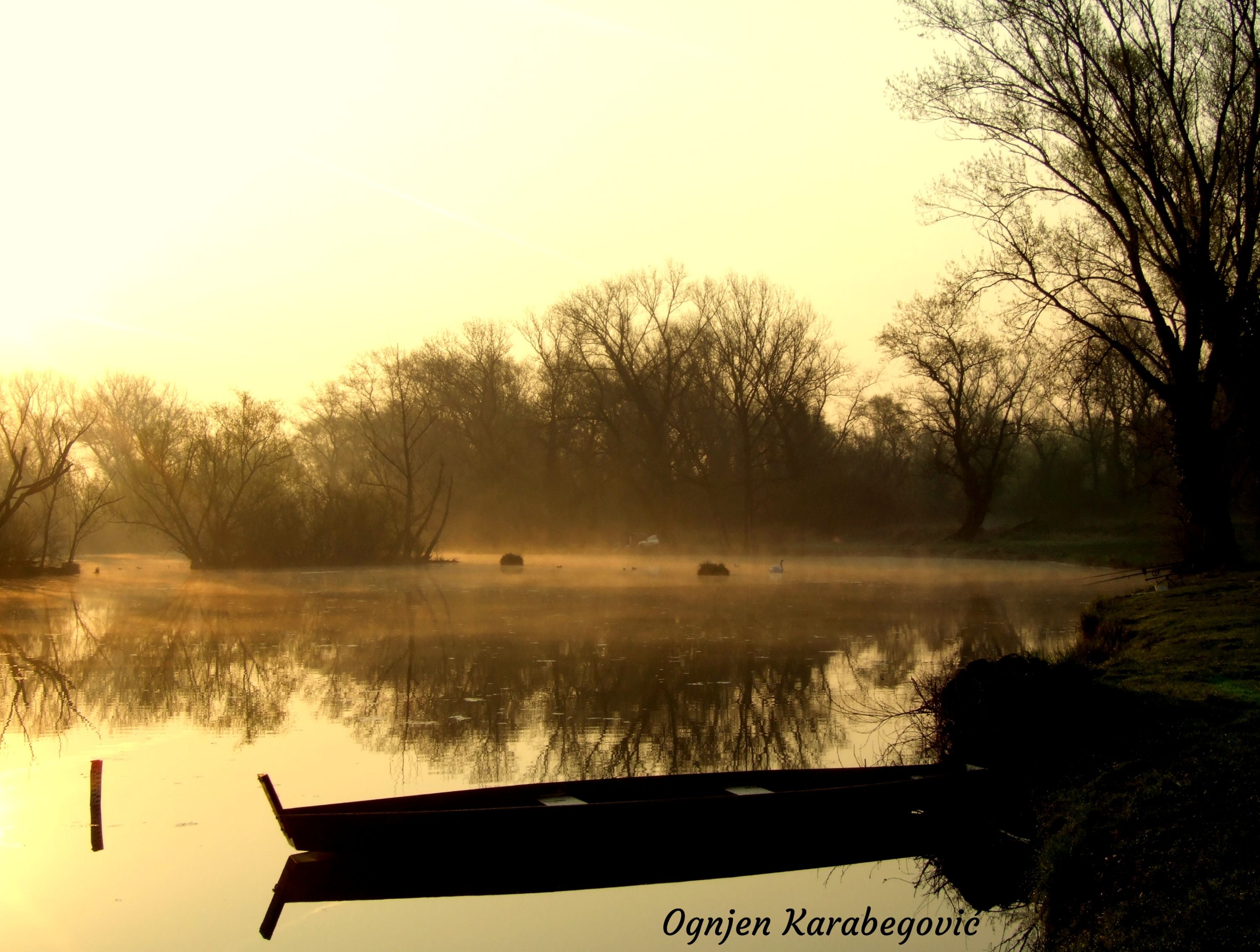 Morning on the lake